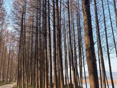 -云龙湖旅游景区