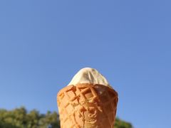 -深圳大学(丽湖校区)