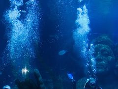 -暹罗海洋世界