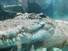 -青藏高原野生动物园