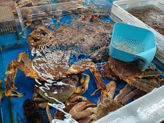 -盒马鲜生(丁香国际店)