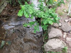 -重庆彩云湖湿地公园