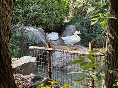-沈坤状元府景区