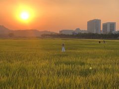 -光明小镇欢乐田园