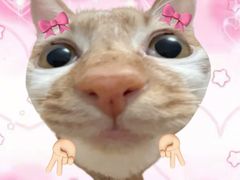 -美芝律剪刀剪咖喱饭