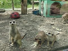 -水上乐园·欢乐世界