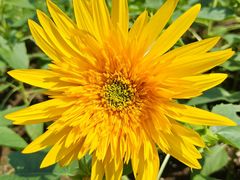 -玄武湖景区-情侣园游乐场