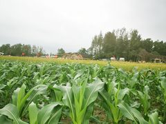 -中国天府农业博览园