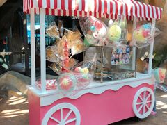 -杭州开元森泊度假乐园