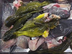 -屯老二农家铁锅炖·行业领军者(梅江店)