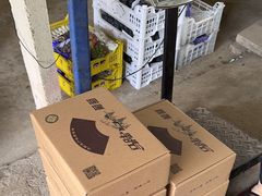 -马陆小张葡萄园农家乐