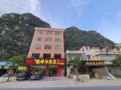 -银峰农庄·特色烧鸡·鲜无花果浸鸡
