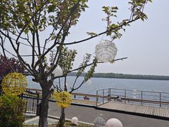 -甬妈妈湖畔里餐厅(唐山南湖旅游景区店)