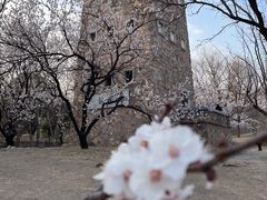 -国家植物园