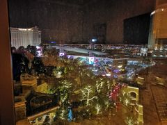 -拉斯维加斯永利酒店