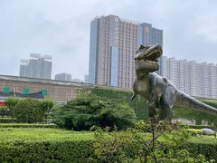 -陕西自然博物馆