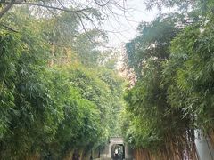 -成都武侯祠博物馆