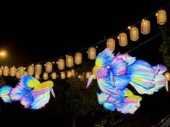 -相门城墙文化休闲景区