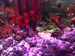 -沈阳海洋探索中心