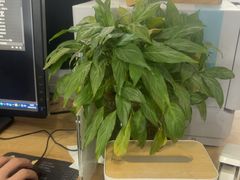 -六朵云照相馆(喷水池店)