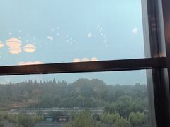 -湖锦酒楼·旗舰店(三阳总店)