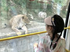 -栾川竹海野生动物园
