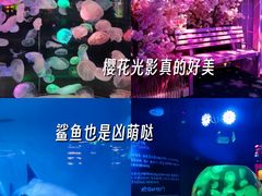 -正佳极地海洋世界