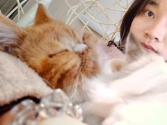 -绒爪撸猫下午茶·猫咖