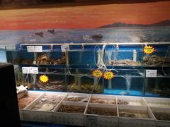 -77号·蒸海鲜青岛菜(积米崖店)