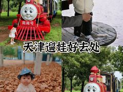 -武清南湖绿博园