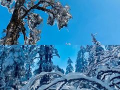 -瓦屋山景区