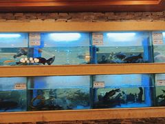 -围龙屋客家食府(福田店)