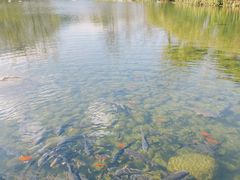 -崇圣寺三塔文化旅游区