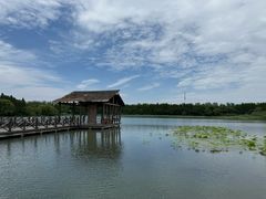 -溱湖国家湿地公园