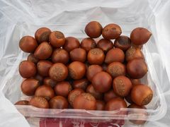 -小邢板栗(中和路店)