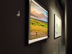 -罗红摄影艺术馆