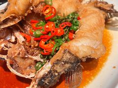 -侨美食家·40年地道粤菜(珠江新城店)