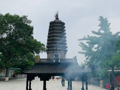 -高尔山公园