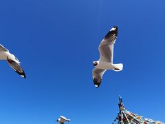 -青海湖二郎剑景区