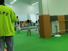 -武术世家少儿培训中心(首都体育学院店)