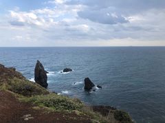 -涉地可支