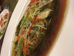 -小叶大馅饺子城