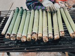 -西双版纳傣族园