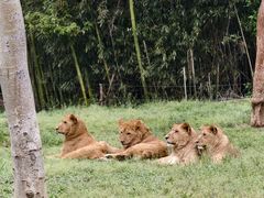 -杭州野生动物世界