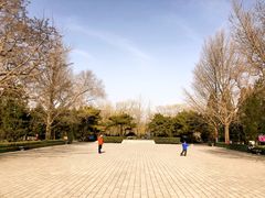 -玲珑塔公园