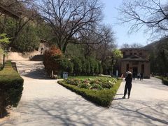 -延安杨家岭革命旧址