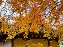 -常寂光寺