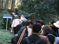 -宁波浙东大竹海景区