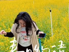 -光明小镇欢乐田园