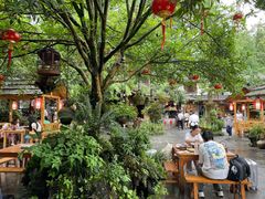 -青城甲(青城山店)